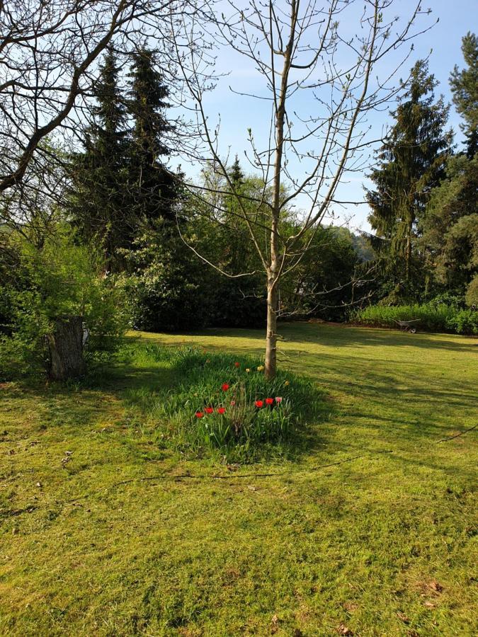 Ferienwohnung Maya Losheim am See Zewnętrze zdjęcie